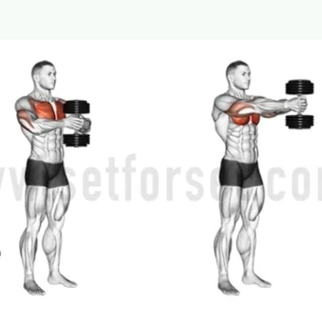 Standing Chest Press: Unleash Your Inner Strength - fusion flows